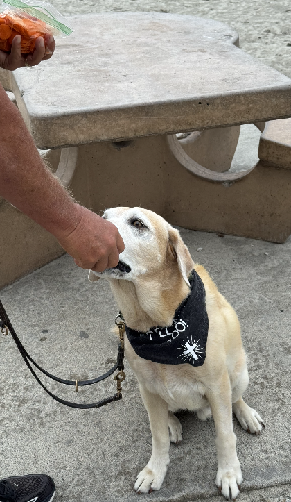 brando-eating-carrots